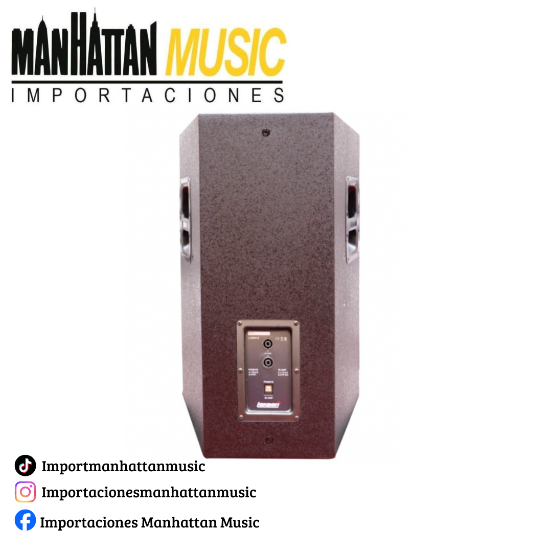 Parlante Pasivo Lexsen LXN815 - Imagen 2